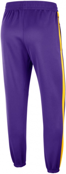 Брюки Nike LAL DF SHWTM PNT DN4611-504 р. M фиолетовый