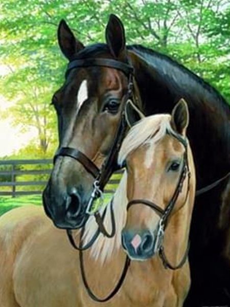 Набор для творчества со стразами на подрамнике Лошади 30х40 см Діамантові ручки 