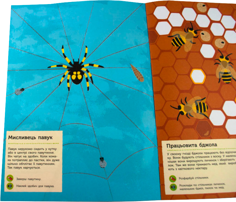 Книга «Моя книга природи : Комахи саду» 978-617-09-4101-5