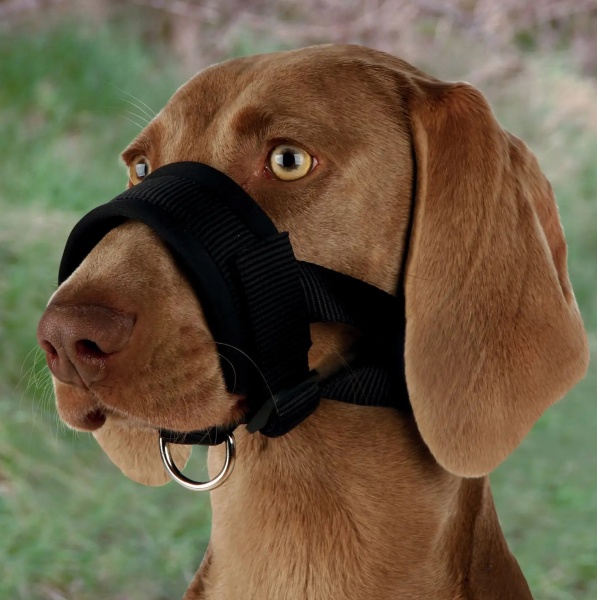 Намордник Trixie XXL 28-38см/22-35см (19283)