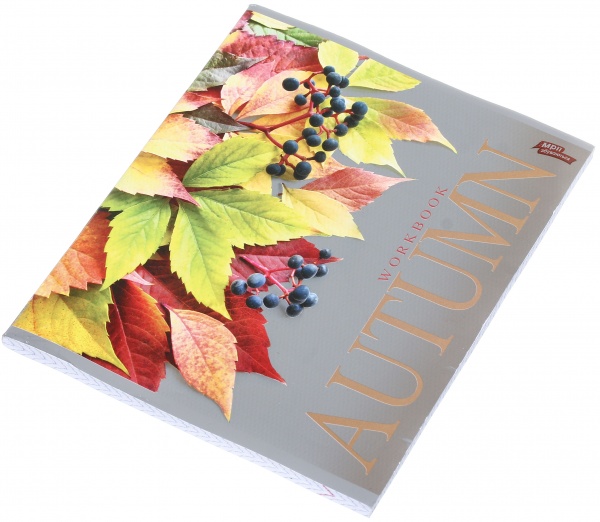 Зошит шкільний срібло 96 аркушів у клітинку в асортименті Мрії збуваються