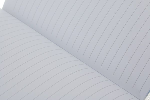 Набор принадлежностей новогодний Sparkle книга для записи А5 в линию 80 листов и пенал 