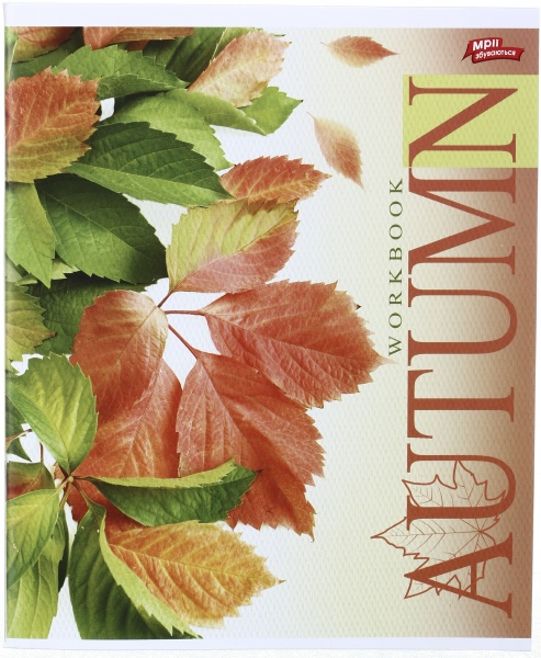 Зошит шкільний 60 аркушів у клітинку в асортименті Мрії збуваються