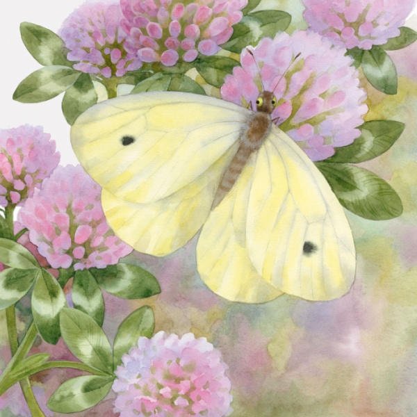 Книга Наталья Чуб «Два червячка» 978-617-09-3748-3