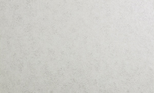 Шпалери вінілові на флізеліновій основі Bravo 81192BR30 1,06x10,05 м 