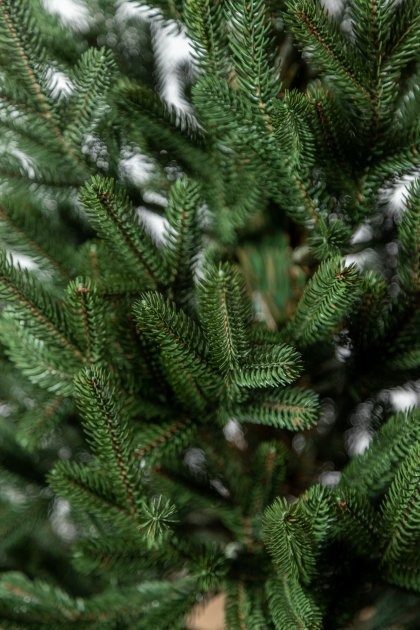 Штучна ялинка Віденська 1,10 м зелений