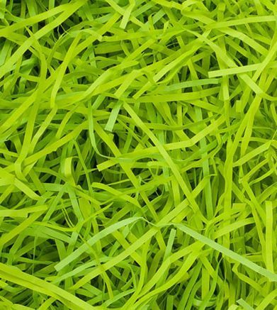 Наполнитель бумажный Бумагия Экофиллер 50 г лайм 