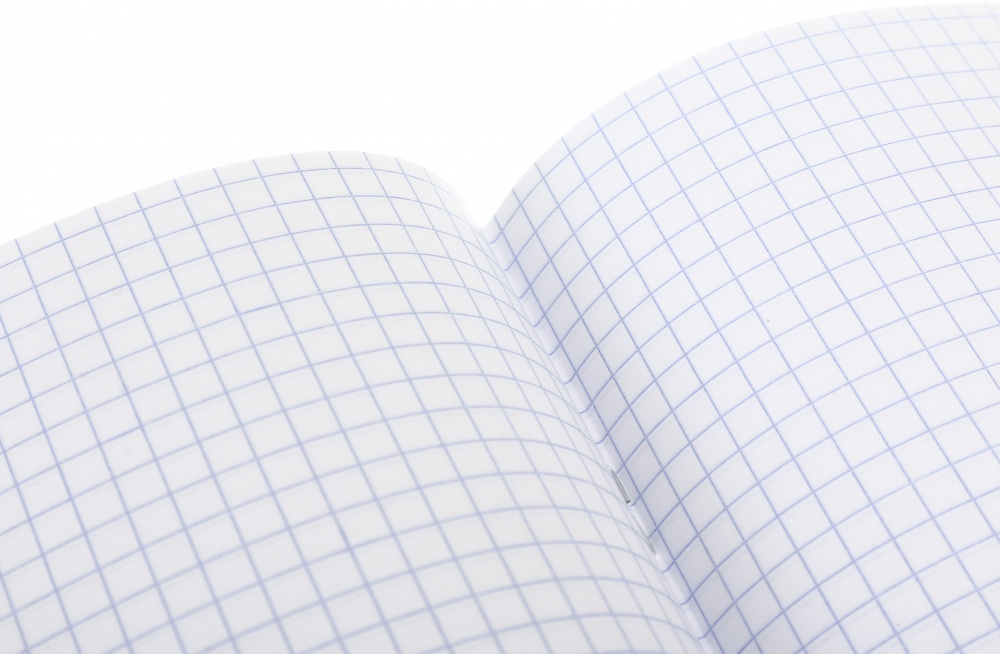 Тетрадь школьная 24 листа клетка економ 2024 Nota Bene