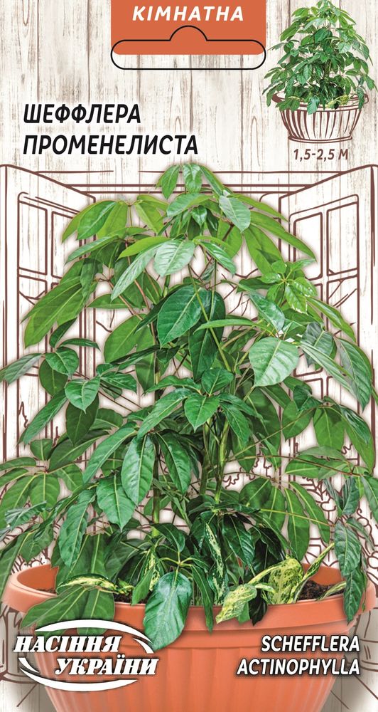 Семена Шефлера Лучелистная Насіння України