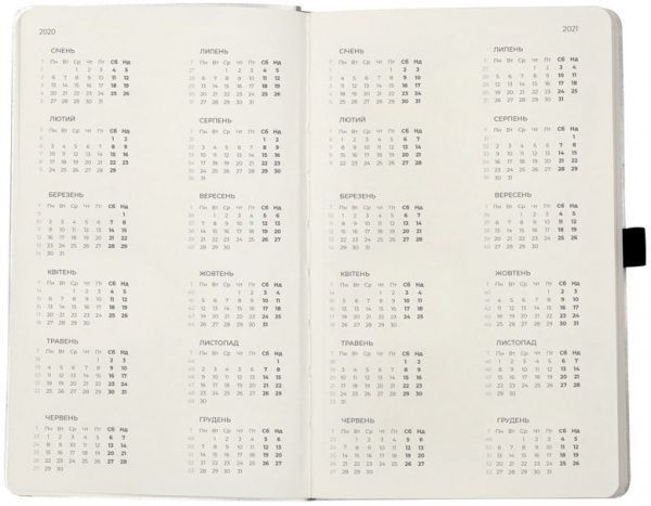 Еженедельник 2020 Partner Flex 8506-20-34-a срібний Axent 42804 