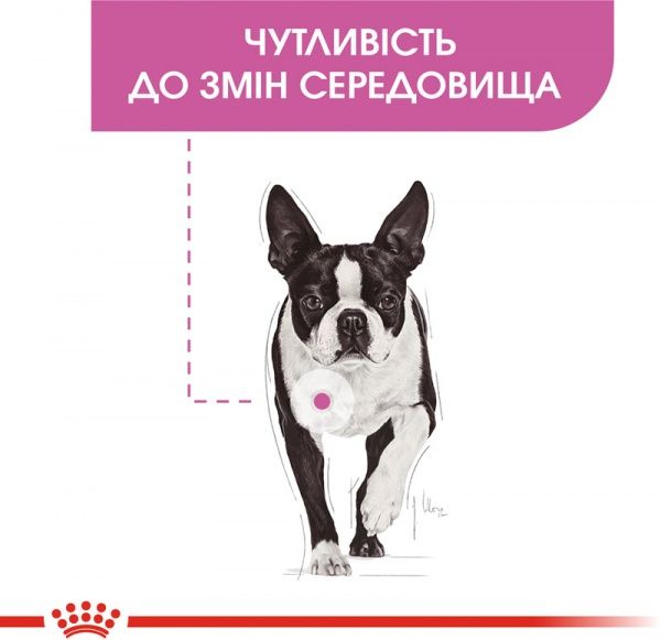Корм Royal Canin для собак MINI RELAX CARE (Міні Релакс Кер), 3 кг