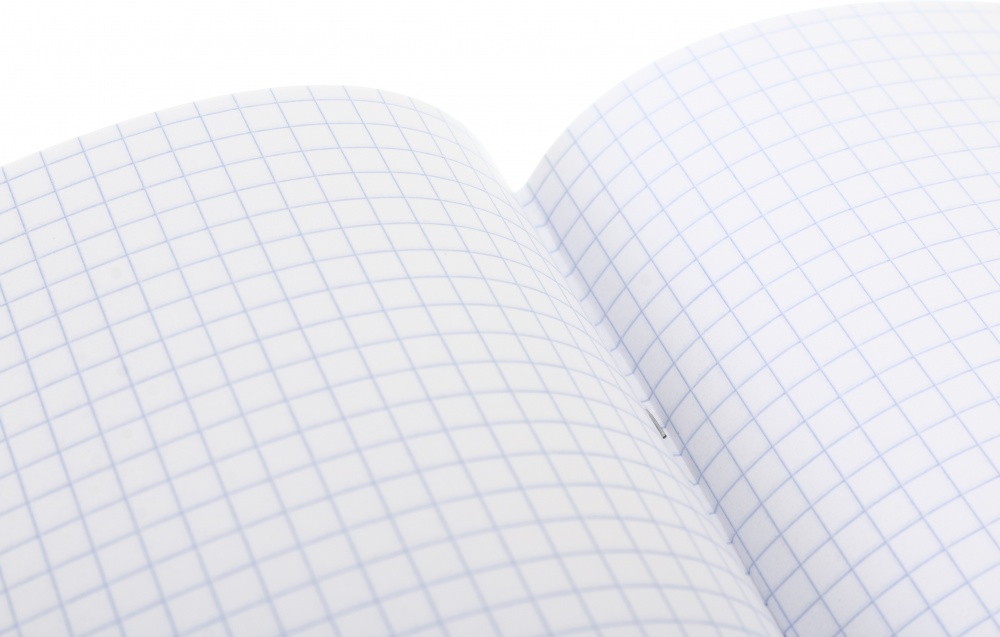 Тетрадь школьная 18 листов клетка економ 2024 Nota Bene