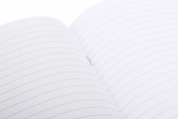 Тетрадь 18 листов линия 2023_2 Nota Bene