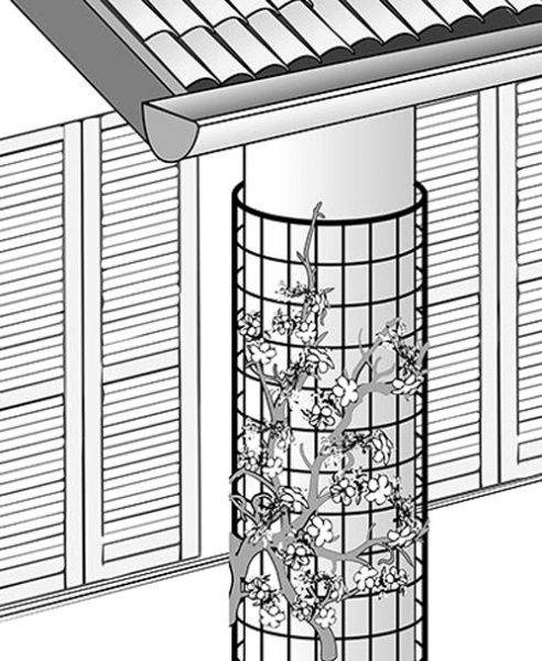 Сетка полимерная TENAX Corolla 0,5х30м 