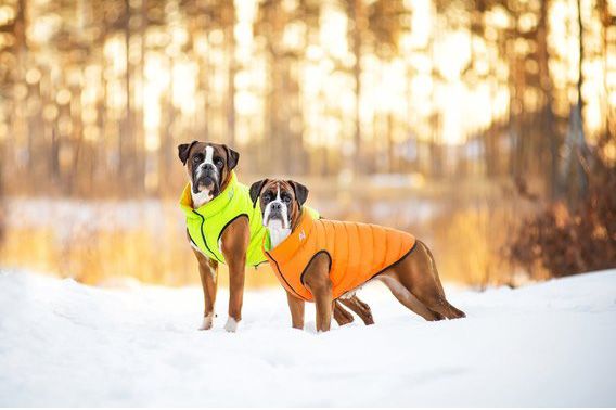 Куртка Airy Vest двостороння для собак XS30 помаранчево-салатова