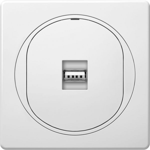 Розетка USB Aling-Conel Eon белый E6162.0