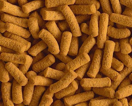 Корм Природа для рыб Биовит Цихлиды 10г