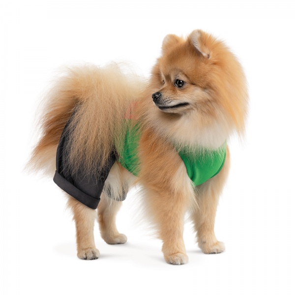 Костюм Pet Fashion Aleks р. XS