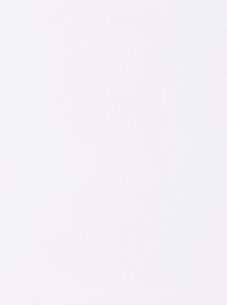 30x40 см Rosa Talent 