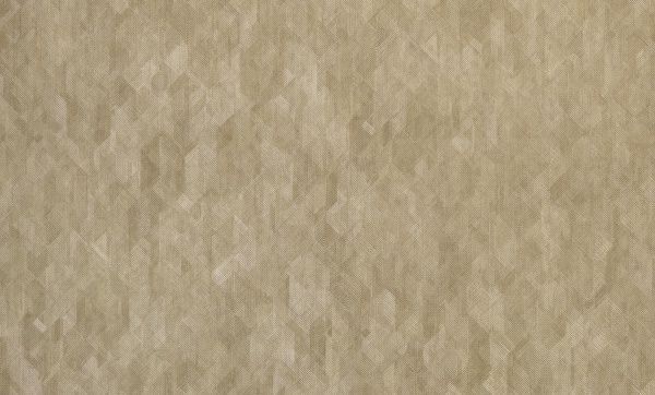 Шпалери вінілові на флізеліновій основі ASSORTI тип 774 947AS44 1,06x10,05 м 