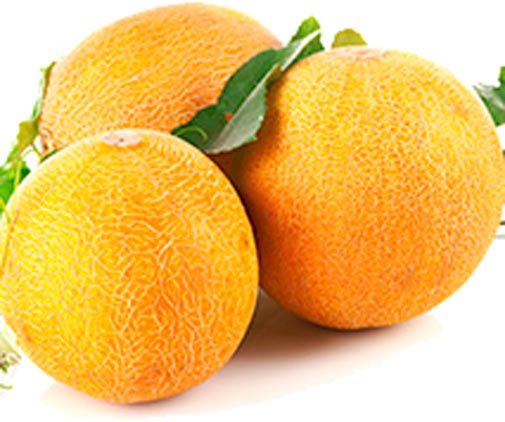 Семена Садовий Світ дыня Колхозница 2г