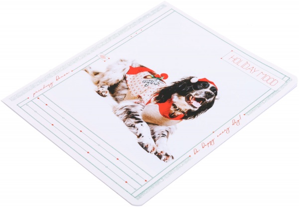 Тетрадь школьная Tadward коса