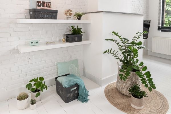 Кошик універсальний пластиковий Curver 245661 Infinity 17 л темно-сірий 220x360x270 мм