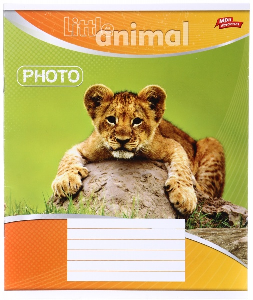 Зошит шкільний уф-лак 12 аркушів у лінійку в асортименті Мрії збуваються