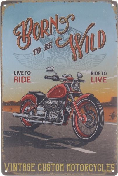 Табличка жестяная печатная Born wild 30x20 см разноцветный 