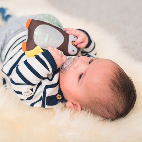 Подвеска Taf Toys коллекции Полярное сияние - Принц-пингвинчик 12305