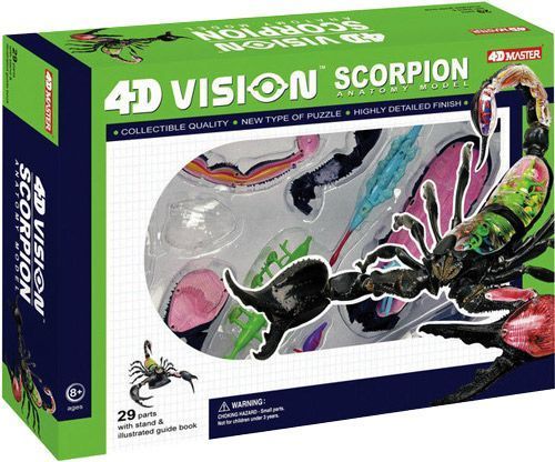 Объемная анатомическая модель 4D Master Скорпион 26113