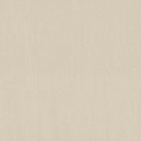 Шпалери Vinil Фк СШТ 6-1215 