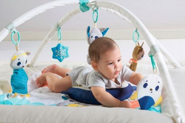 Развивающий коврик Tiny Love Северный Полюс