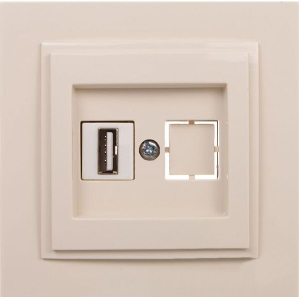 Розетка USB с заземлением Mono Despina без шторок без крышки кремовый 102-170005-144