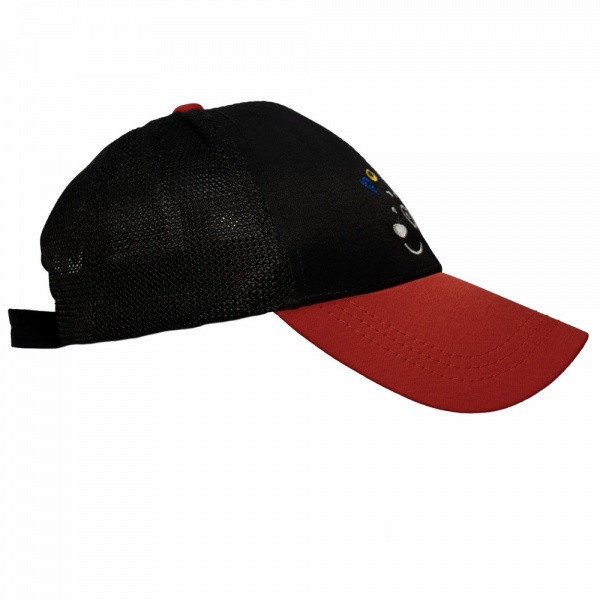 Кепка для мальчиков Девилон 3-8 лет р.48-54 черный 519018 