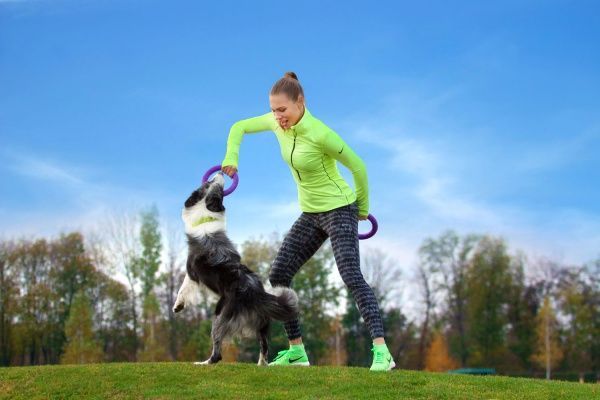 Снаряд тренировочный Puller Midi для собак 20 см