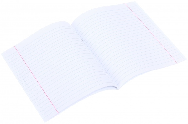 Тетрадь школьная 24 листов в линейку в ассортименте Мечты сбываются