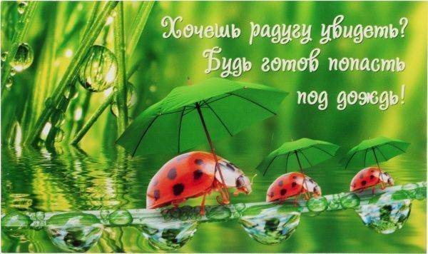 Картина-открытка KL007 13x22 см KL007 