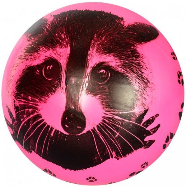 Мяч Енот (6 видов) в ассортименте 23 см MS 1899