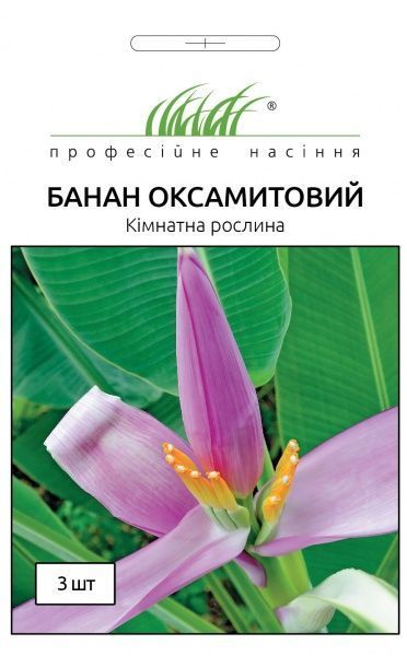Насіння Професійне насіння банан кімнатний оксамитовий 3 шт. (4823058200408)