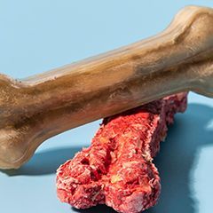 Лакомства для собак