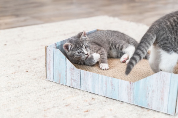 Царапка-кровать Trixie для кошек с кошачьей мятой картон вид дерева 45x12x33 cм (48013)