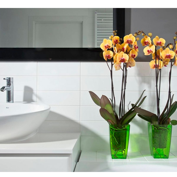 Кашпо пластиковое Lamela Финезия квадратный 3,1л желтый/прозрачный (377) 