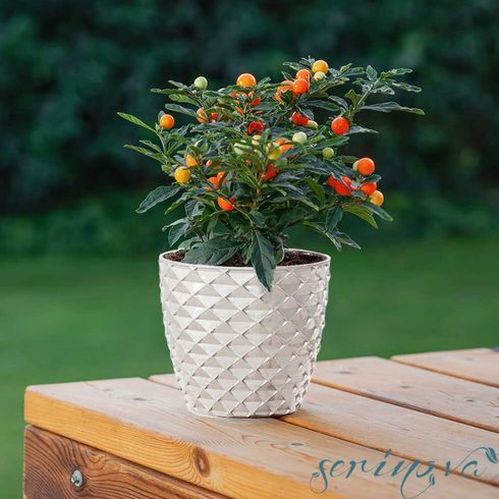 Горшок Serinova KAPADOKYA №3 круглый 2,5 л белый (KAP3-Beyaz 11379) 