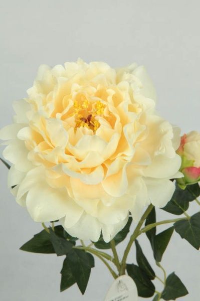 Растение искусственное Пион светлый шампань 27307