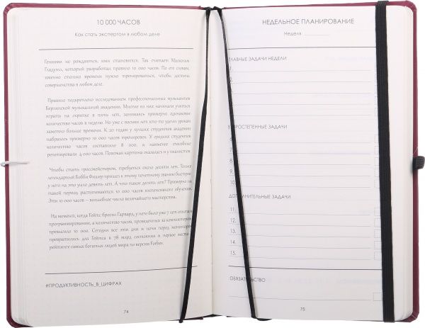 Продуктивний щоденник (рос.) бордовий 
