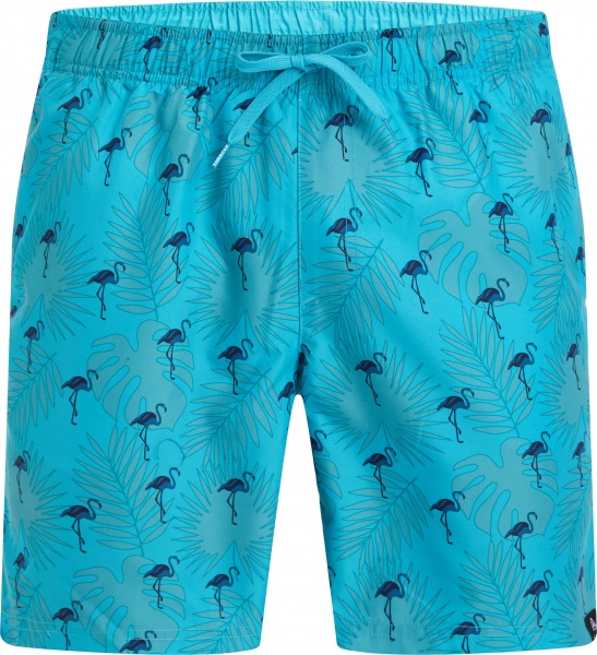 Шорти Firefly Nilas M 419324-614 р. 2XL бірюзовий