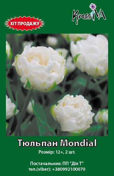 Луковица KrassIVA тюльпан Mondial 2 шт. 