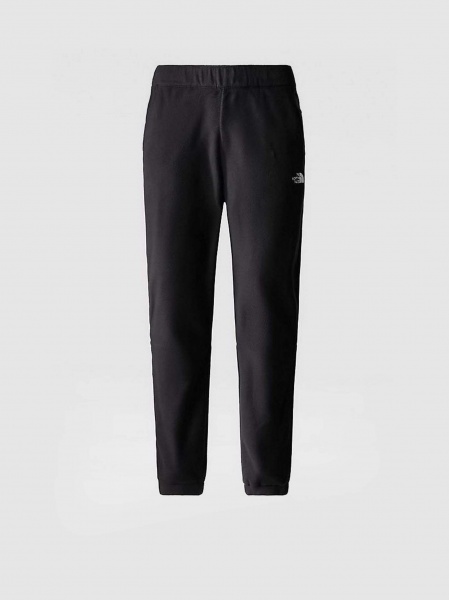 Штани THE NORTH FACE M 100 GLACIER PANT NF0A8561JK31 р. S чорний