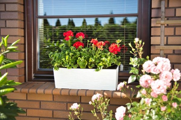 Горщик для квітів Lamela Бегонія долото прямокутний 37,7л білий 